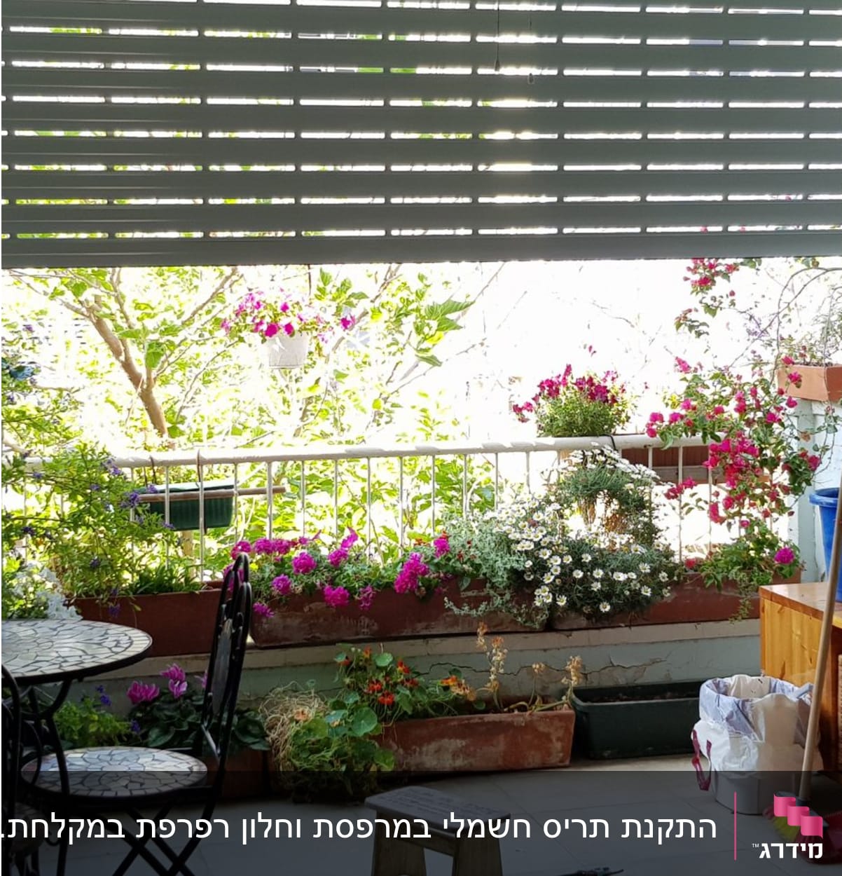 מרפסת עם עציצים ותריסי אלומיניום